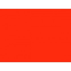 LAKIER CAR FLUO.CZERWONY (1010)