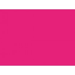 LAKIER CAR FLUO.PURPLE (1013)