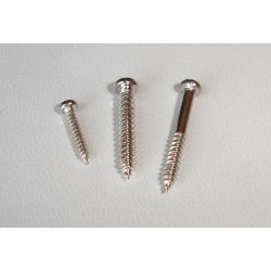 WKRĘT M2*10MM. (10 SZT) (HY-00206)