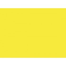 LAKIER STYRO ŻÓŁTY (019) 