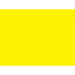 LAKIER STYRO FLUO.ŻÓŁTY (1007)