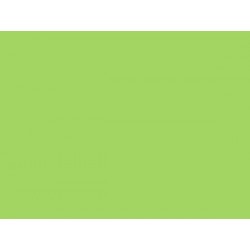 LAKIER STYRO FLUO.ZIELONY (1008)