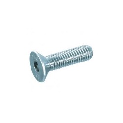 ŠROUB T-MAX ŠESTIHRANNÝ kužel M4 * 6 (12 KS) DIN 7991 A2
