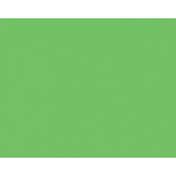 ZELENÝ LAK NA AUTA (944)