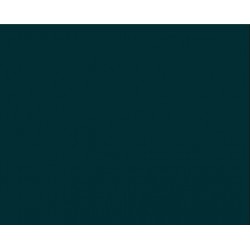 LAKIER CAR ZIELONY (312) 