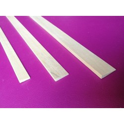 TRAILING STRIP 4 * 1 * 15 mm / AS / LIPOWA 1000 mm