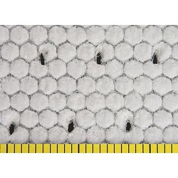 COREMAT XM 3mm / (cena za 0,5 metrabieżącego)