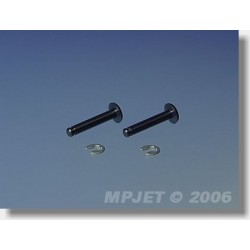 MP4820 VANE PIN 2 * 8mm (2ks)