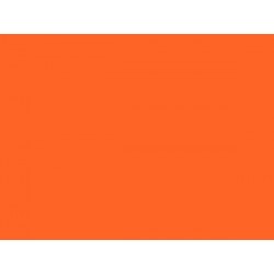 LAKIER CAR FLUO. ORANGE (1006)