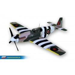 ESA AIRCO MB AT P 51 MUSTANG (WHITE) ON THE POLISH SKY