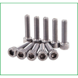 NON-NEW BOLT. M2* 6 mm IMBUS ( 10 pieces )