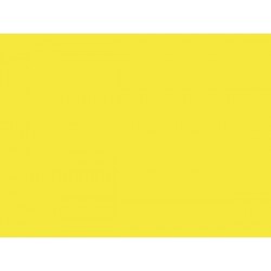 LAKIER CAR ŻÓŁTY (019) 