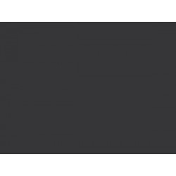 LAKIER CAR CZARNY (610)