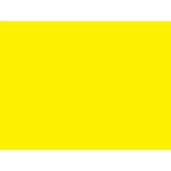 LAKIER CAR FLUO.ŻÓŁTY (007) 