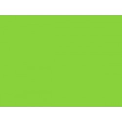 LAKIER CAR FLUO.ZIELONY (008) 