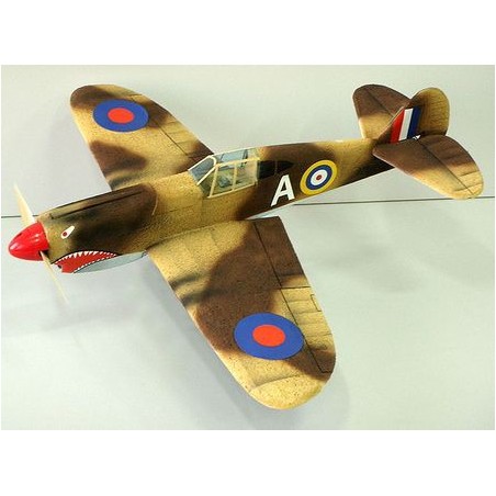 ESA AIRCOMBAT P-40 TOMAHAWK (BIAŁY) NA POLSKIM NIEBIE